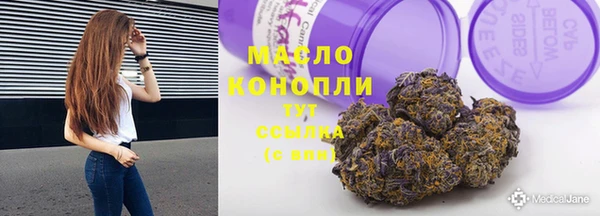 спайс Каменка