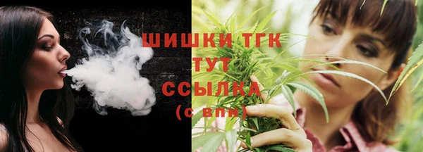 спайс Каменка