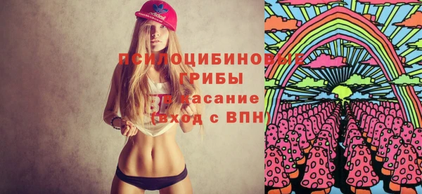 спайс Каменка