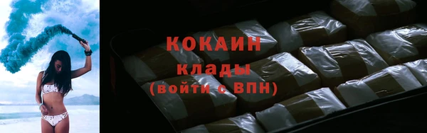 спайс Каменка