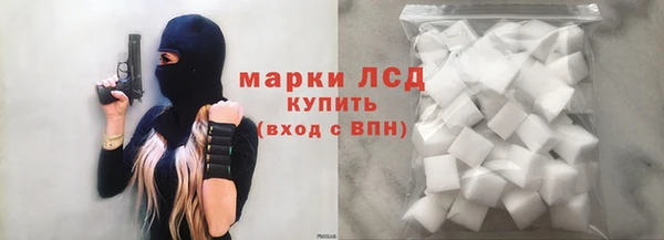 спайс Каменка