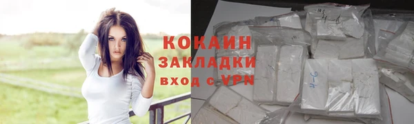 спайс Каменка