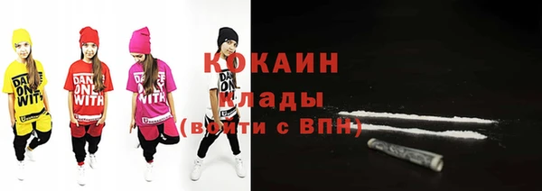 спайс Каменка