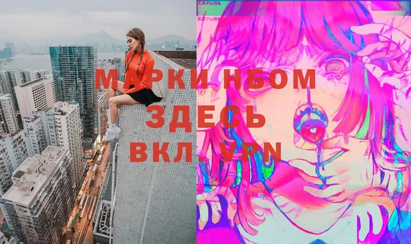 спайс Каменка