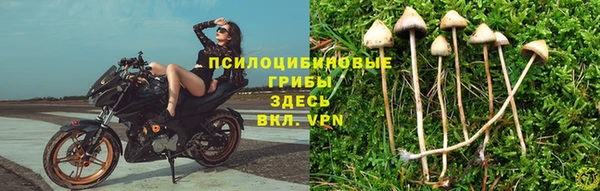наркотики Каменск-Шахтинский
