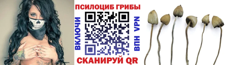 Галлюциногенные грибы ЛСД Курильск